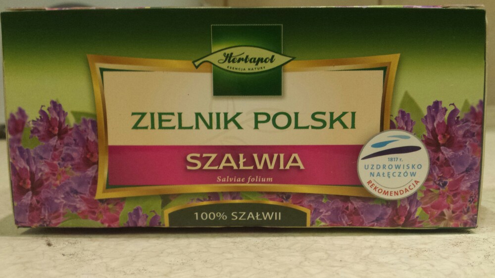Zielnik polski- szałwia 